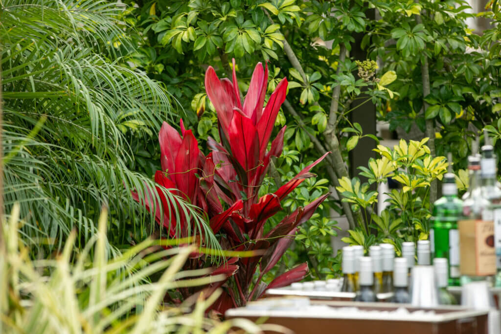 chworks-dreambuilder-gala-092525-95